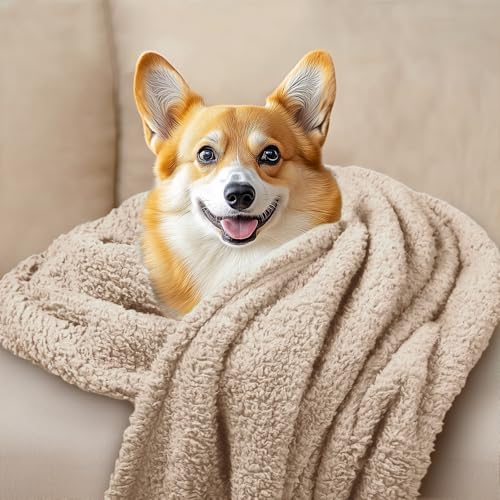 1 Pack 3 Calming Blankets Fluffy Premium Fleece Pet Blanket Soft Sherpa Throw for Dog Puppy Cat Beige Medium (Medium (Pack of 3) / Beige)