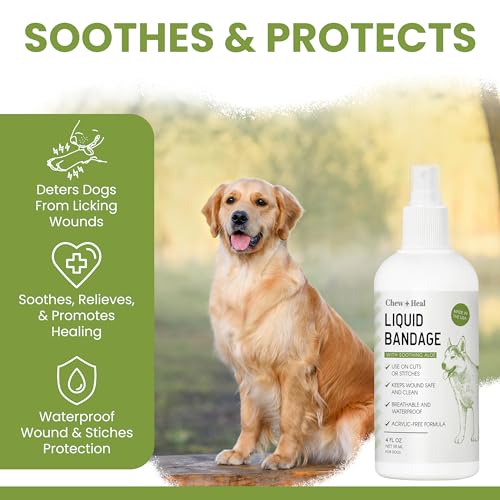 Liquid Bandage for Dogs 8oz Spray (8 Ounce)