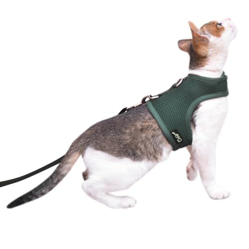 Cat Harness and Leash Set for Walking Escape Proof (Green / L 8-12 lbs)