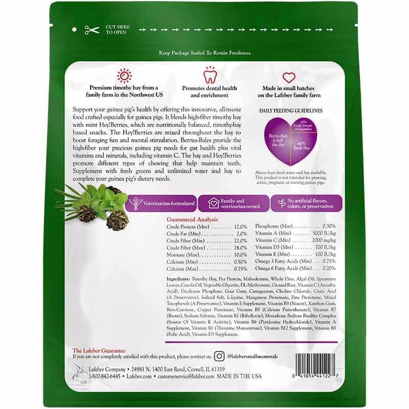 Berrie Bale Mint for Guinea Pigs 1 lb