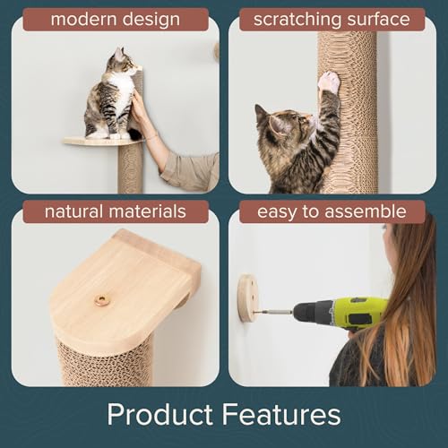 Cat Climbing Wall System (Wall Mount / Ascentials Sunrise Steps)