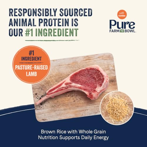 Pure Farm to Bowl Dog Food (22 Pound (Pack of 1))