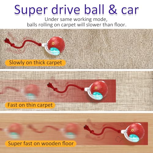 Interactive Cat Toys Ball for Indoor Cats Fast Rolling on Carpet