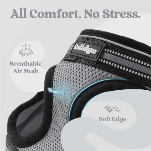 Cat Harness and Leash Set (M / Grey)