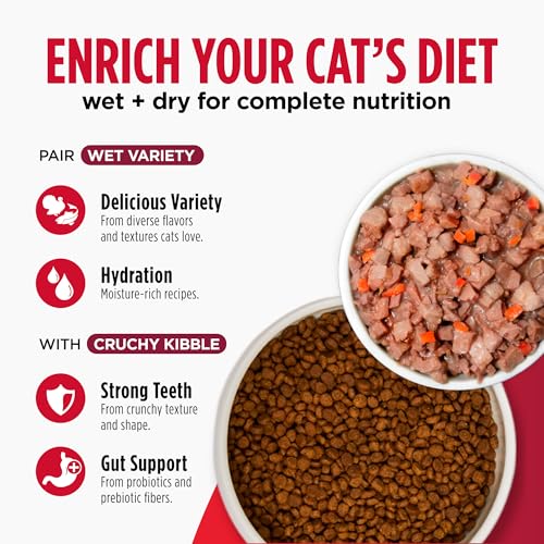 Freestyle Cat & Kitten Dry Food (4 Pound (Pack of 1))