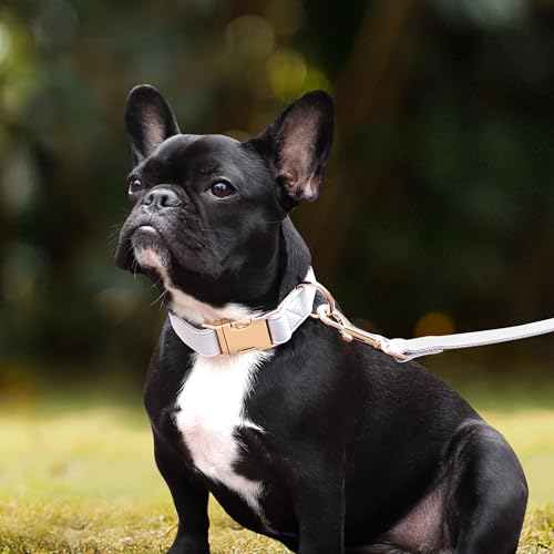 Soft PU Leather Dog Collar (S: Fit 9-14" Neck(10-20 lbs) / Gray)