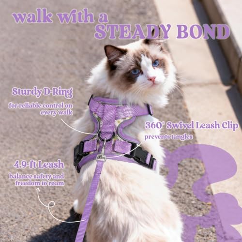 Cat Harness and Leash Set (S / Purr-ple Daisy)