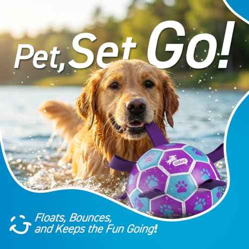 Big Dog Toys Large Herding Ball for Dogs Large (Purple-Blue / Extra Large Size 5 (9 Inch))