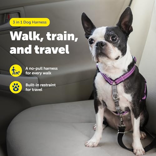 3 in 1 Dog Harness (Plum / Extra Small (Pack of 1))