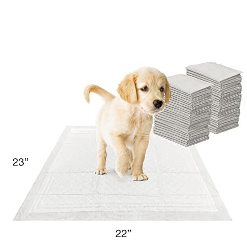 Wee Wee Super Absorbent Unscented Pee Pads for Dogs & Puppies with Insta (50 Count)