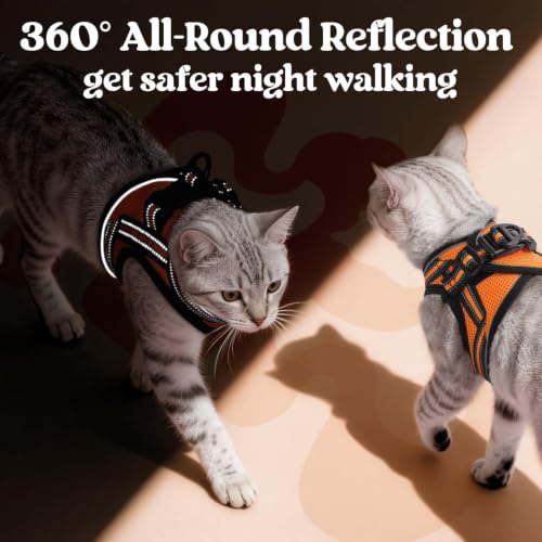 Cat Harness and Leash Set (M / Orange)