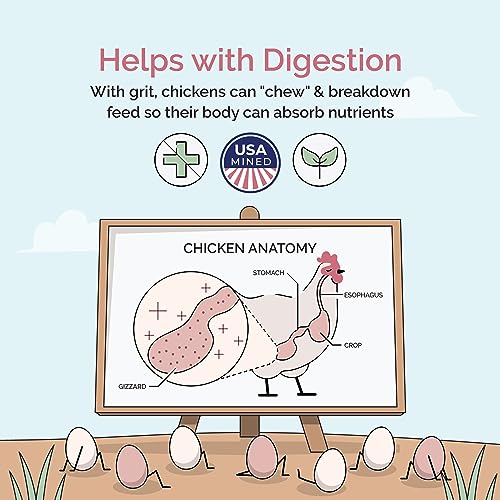 Chicken Grit Layer & Grower (50 Pound (Pack of 1))