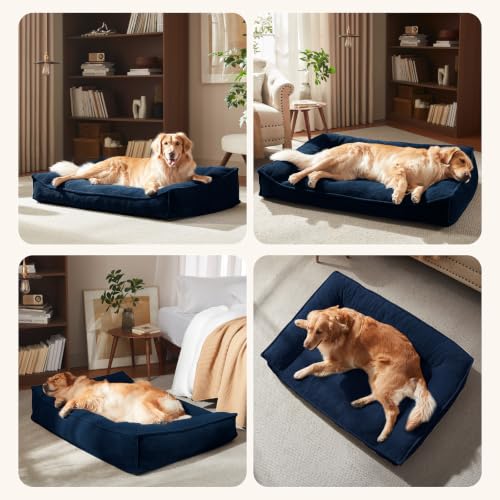 XXL Orthopedic Dog Beds Large Sized Dog (Blue / 48"L x 35"W x 10"Th)