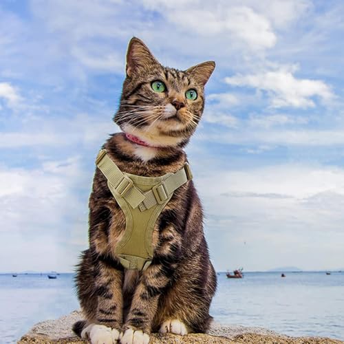 Escape Proof Tactical Cat Harness with Custom Patches (Red)