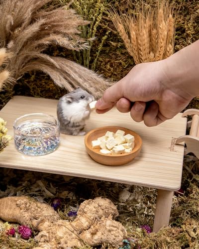 Hamster Snack & Treats Toy