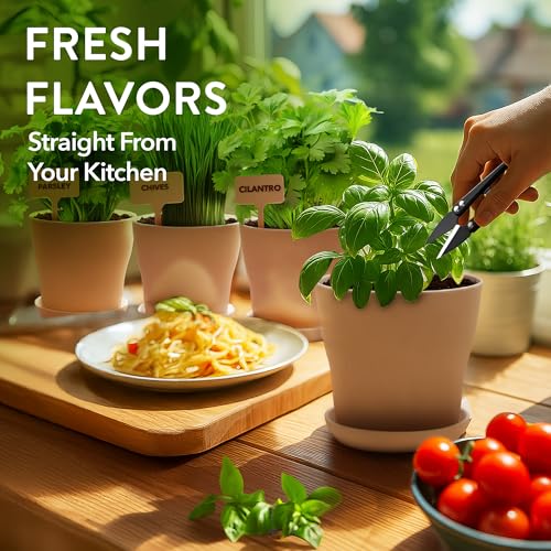 4 Herb Indoor Garden Kit
