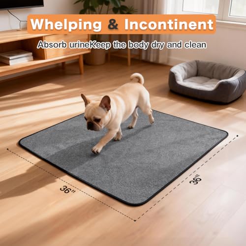 Washable Pee Pads for Dogs (36"x36" -2 Pack / Gray)