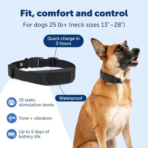 Guardian GPS Add (Black / Add-a-Dog Collar)