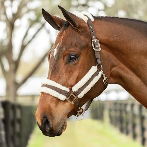 Valkyrie Ultra Fleece Padded Leather Fuse Breakaway Horse Halter (Brown/Ivory White / Cob)