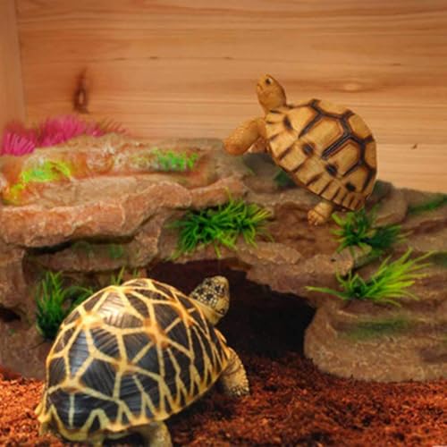 Turtle Basking Platform (Rustic)