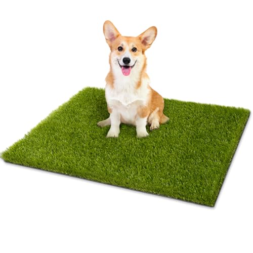 Professional Fake Grass for Dogs (30" x 17")