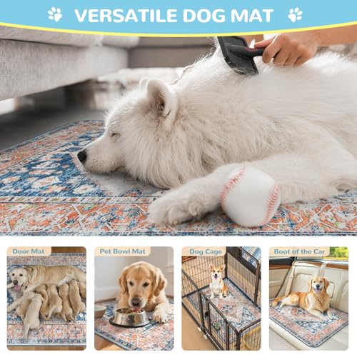 Super Absorbent & Leakproof Washable Dog Pee Pads (Beige Blue / 2FT x 2FT (Pack of 2))