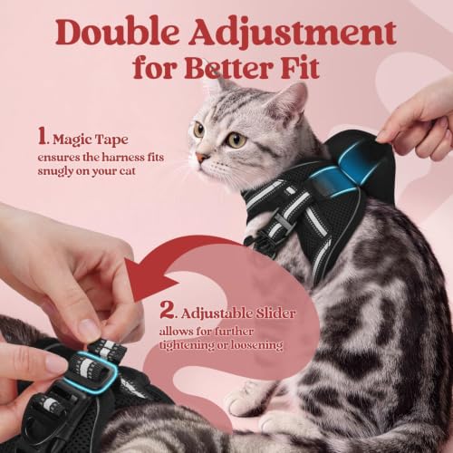 Cat Harness and Leash Set (M / Black)
