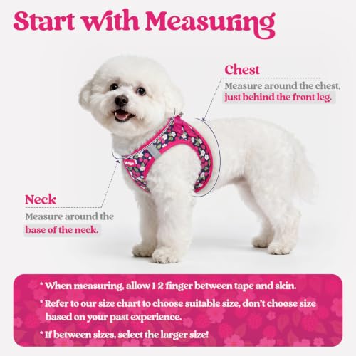 Dog Harness Small Sized and Leash Set (Pink Berry / S (chest: 15.1 - 16.5"))