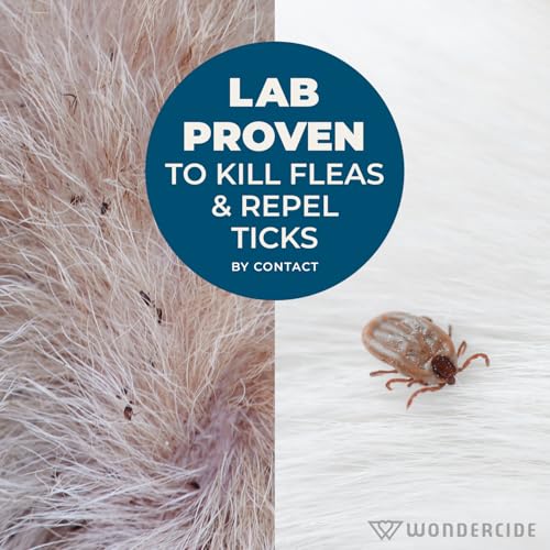 Flea & Tick Shampoo for Dogs and Cats (128 Fl oz)