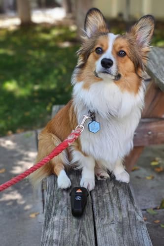 Ultrasonic Dog Bark Deterrent & Behavior Corrector (Black Rechargeable (1 Pack))