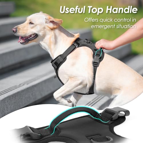 No Pull Dog Harness for Large Sized Dogs Puppy Vest No Choke (Black / L(Neck:20.9-31.5", Chest:24.8-37.4"))