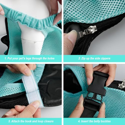 Dog Carrier Backpack Pet Legs Out Front Cat Travel Bag (Large / Blue)