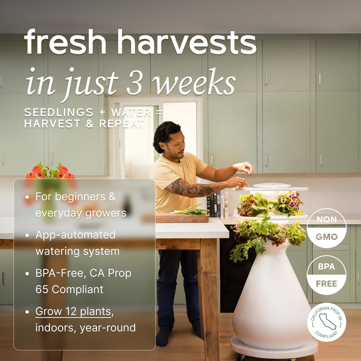 Farmstand Indoor Kit (12 Seedlings / Indoor With Seedlings)