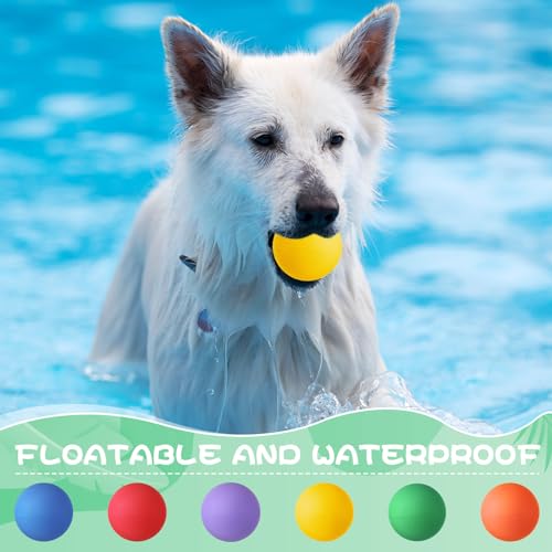 24 Pieces Rubber Dog Tennis Balls for Dog Colorful Catching Pet Balls for Fetch Training 2.4 Inch Interactive Bounce and Floatable Toy for Park Beach