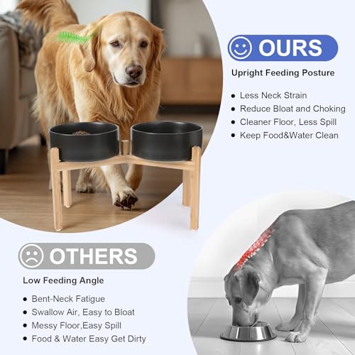 Elevated Dog Bowls Ceramic (8.3 in - 7.6 cups / Black)
