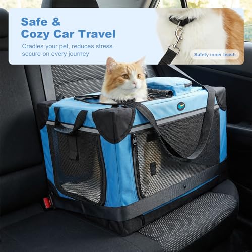 Collapsible Travel Dog Crate for Cat Doggie (Blue)