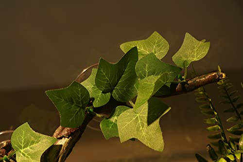 Reptile Corner Branch Terrarium Plant Decoration with Suction Cup for Amphibian Lizard Snake Climbing (Climbing Branch)