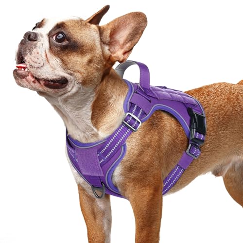 Tactical Dog Harness for Small Dogs (S(Chest:16.1"-31.5",Neck:15.4"-21.6",Back:7.1") / Purple)