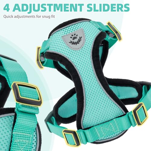 Cat Harness and Leash Set Escape Proof Reflective Cat Walking Harness Adjustable Soft Breathable Mesh Vest for Small Pets (M (NECK 11"-13.7", CHEST 16"-20") / Aquamarine)