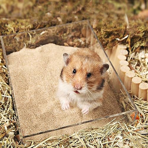 12lb Hamster Sand for Sand Bath (Beige / 12lb)