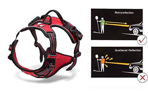 Truelove No Pull Dog Harness with Easy Control Handle and 2 Leash Attachments (Medium / Red)