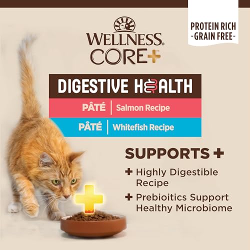 CORE+ Digestive Health Pate Variety Pack Adult Canned Wet Cat Food (3 Ounce (Pack of 12))