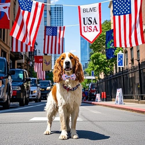 4th of July Dog Collar with Bowtie (Flag USA / Small (Pack of 1))