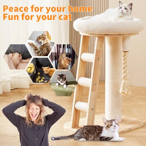 Modern Cat Tree Small Tower with Scratching Post for Indoor (with Ladder)