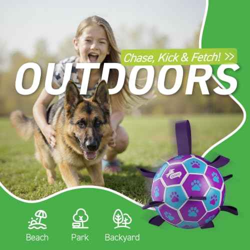 Big Dog Toys Large Herding Ball for Dogs Large (Purple-Blue / Extra Large Size 5 (9 Inch))