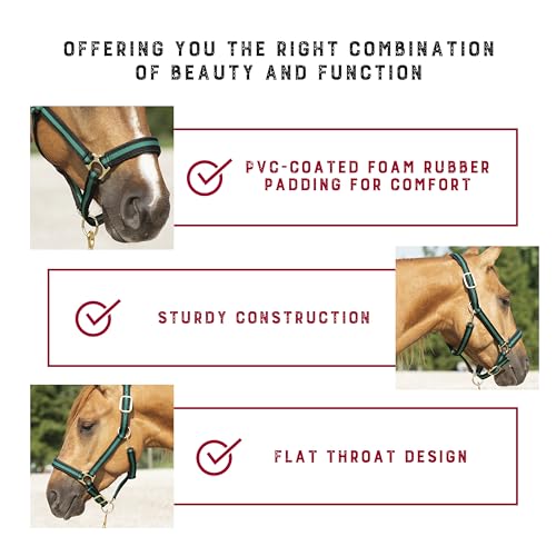 Nylon Horse Halter (Hunter Green / 1" Large Horse)