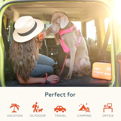 Cat & Dog First Aid Kit for Car (CoreCare Kit)