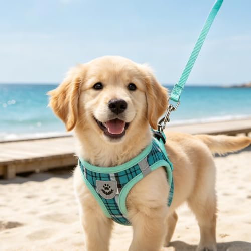 Dog Harness Collar and Leash Set No Pull for Small Medium Sized (Lake Green / XS (CHEST 13"-14.5"))