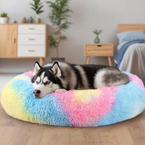 Extra Large Dog Beds (Rainbow / 36.0"L x 36.0"W x 8.0"Th)