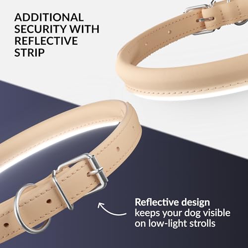 Tangle Free Reflective Leather Dog Collar (Beige / S)